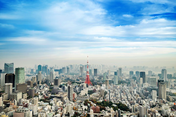 Fototapeta na wymiar Tokyo tower, landmark of Japan