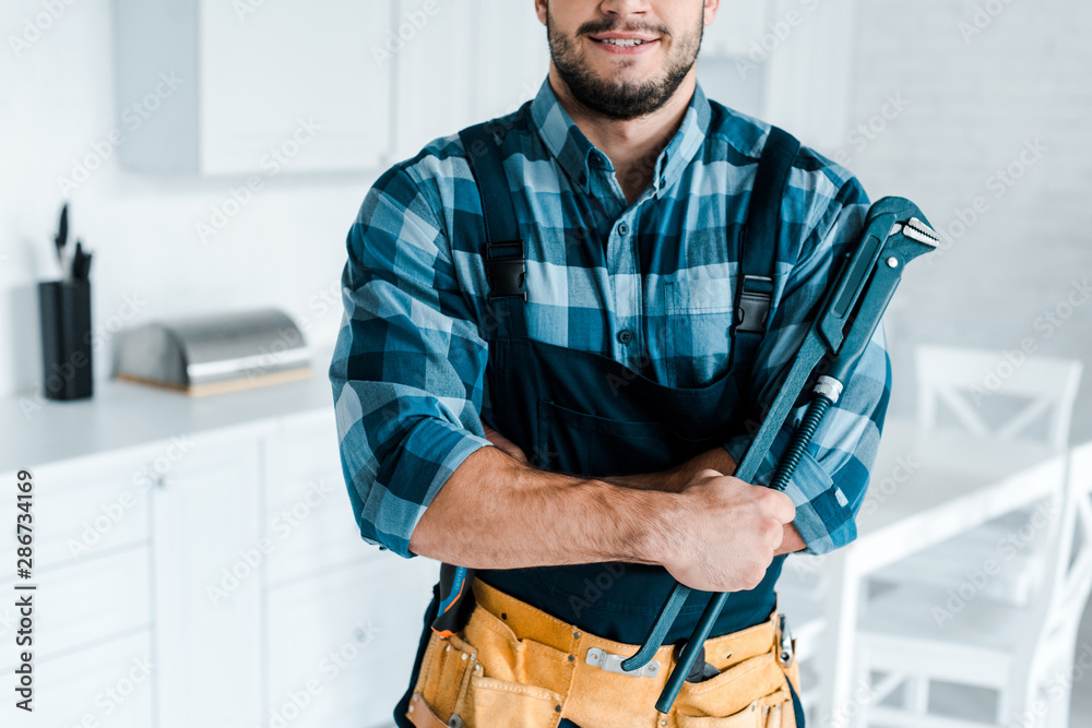 Wall mural cropped view of happy handyman holding tool