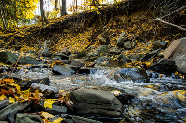 stream in autumn