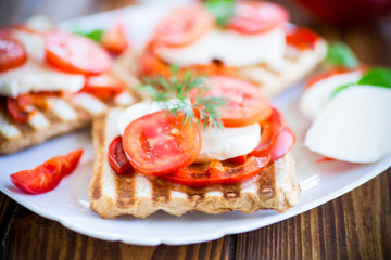Closeup of a fresh sandwich with mozzarella, tomatoes