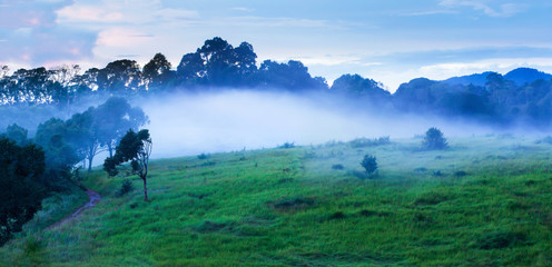 Panorama landscape of grassland in the morning mist.