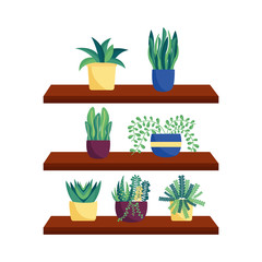 Plants and furniture vector design