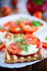 Closeup of a fresh sandwich with mozzarella, tomatoes