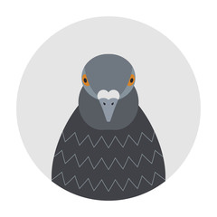 Cartoon funny pigeon head, front view. Flat style, icon.