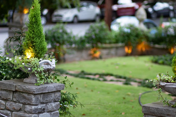 garden with flowers