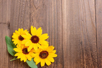 Obraz premium ヒマワリ