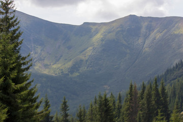 The majestic view of the beautiful mountains. Relaxing travel background. Tourist routes. Carpathians. Ukraine. Europe.