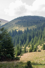 The majestic view of the beautiful mountains. Relaxing travel background. Tourist routes. Carpathians. Ukraine. Europe.