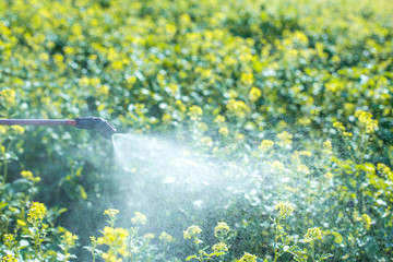 control of harmful insects in fields and home gardens