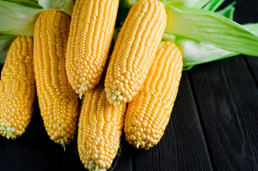 Yellow juicy corn with green leaves on a black tree table