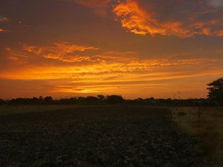 sunset over field