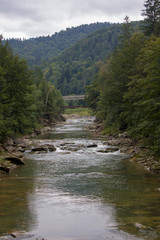 Mountain river in the summer with small waterfalls. Beautiful summer landscape of the Carpathians.