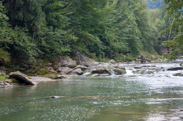 Fototapeta premium Mountain river in the summer with small waterfalls. Beautiful summer landscape of the Carpathians.