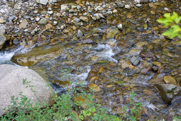 Mountain river in the summer with small waterfalls. Beautiful summer landscape of the Carpathians.