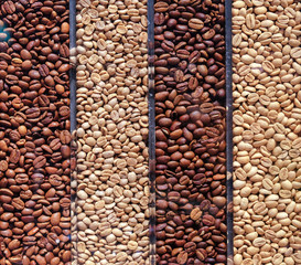 different type of roasted coffee bean in the coffee shop
