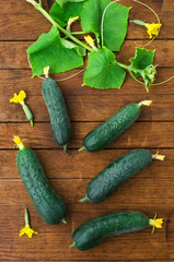 Fresh cucumbers on wooden table.