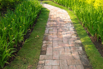 Stone walkway in garden