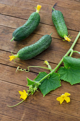 Cucumbers on wooden table.