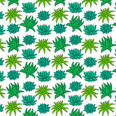 Hand drawn aloe vera seamless. Vector color natural pattern. Outline aloe background.