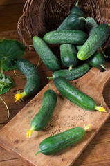 Fresh cucumbers in basket.