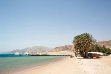 Sandy Beach in the Sinai Desert. The shore of the Red Sea in the city of Dahab, Egypt. Public beach with date palm trees and mountains on the horizon