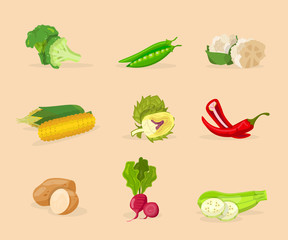Vegetables flat vector illustrations set