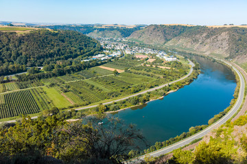 Top view on Mosel river valley and green terraced vineyards, Germany, production of quality white...