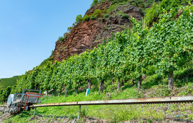 Special machine equipment for works on terraced vineyards in Mosel river valley, Germany,...