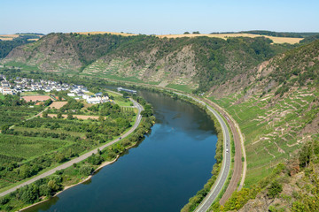 Fototapeta na wymiar Top view on Mosel river valley and green terraced vineyards, Germany, production of quality white and red wine, riesling