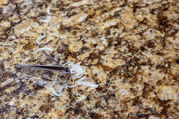 Pile of fingernail and toenail clipping next to a metal cutter