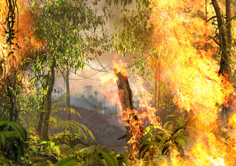 Tropical Amazonas Rainforest On Fire