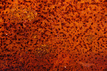Old grunge orange textured background. Creat background with copy space