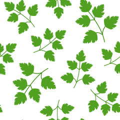 Seamless Green parsley in flat style pattern