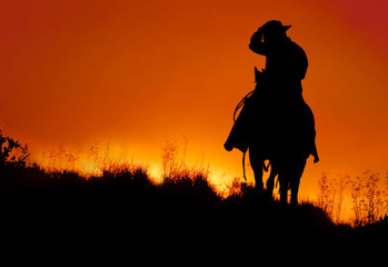 Fototapeta na wymiar silhouette of a man on horse