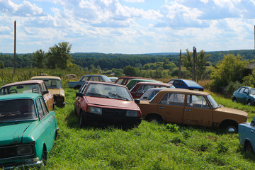 many abandoned rusty cars on a field in the grass