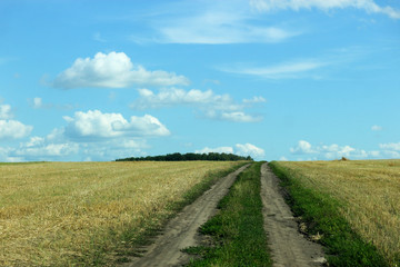 Fototapeta na wymiar road to the clouds - rural dirt road in the field