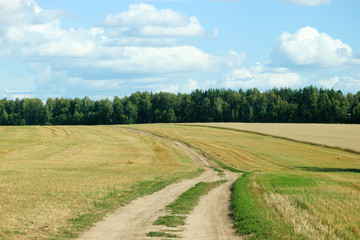 Beautiful and romantic rural dirt road in the field with forest on the background