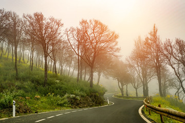 Road in the mountains with the beautiful sunset view.