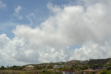 Fototapeta premium Houses Among Vegetation
