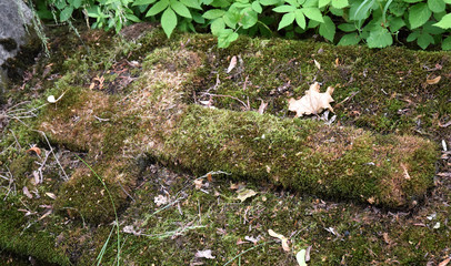old cross cementary