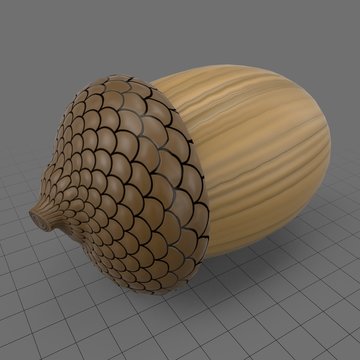 Acorn