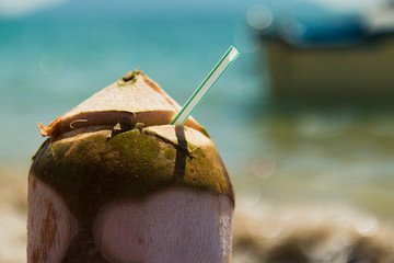 Coconut by the beach