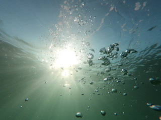 Fototapeta premium Underwater bubbles with sunlight through water surface as seen in natural scene at Caribbean turquoise open ocean sea