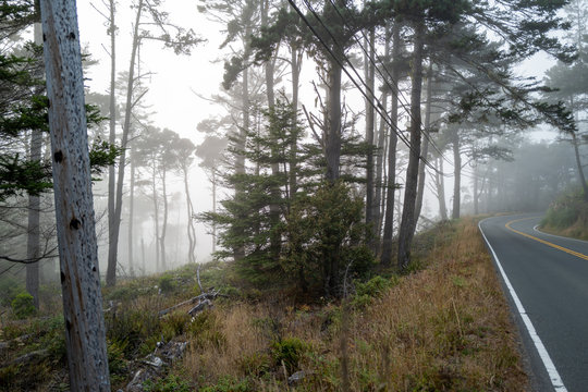 A foggy road near Mendocino, California
