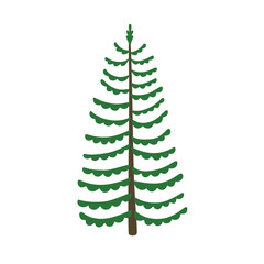 Fototapeta na wymiar Green xmas tree isolated on white. Vector tree christmas green