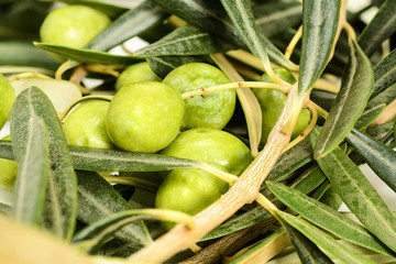 Green olives. Real olive branches with leaves and olives.