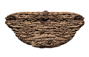 rotten wooden background