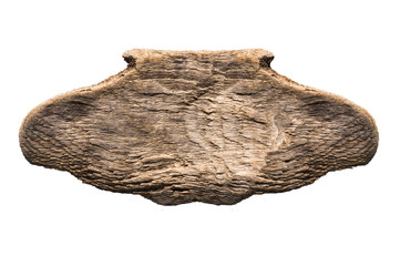 rotten wooden background