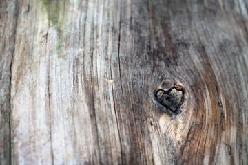 heart of nature