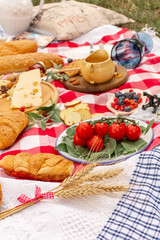 Stylish picnic on the green lawn. Fresh croissants and a teapot with tea on a bedspread near a wicker female hat. Instagram content